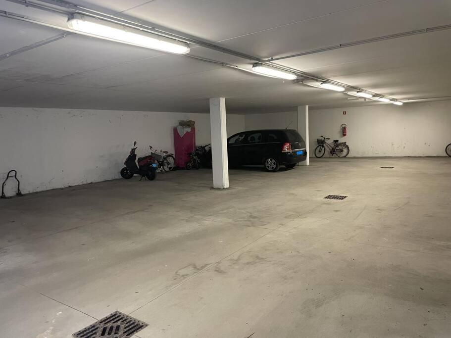 Elia Loft